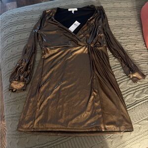 BCBGeneration Copper Sheath Dress with Bishop Sleeves